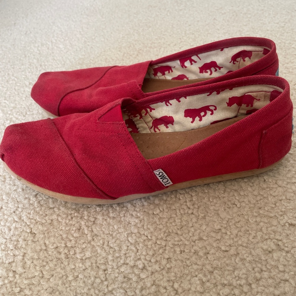 TOMS Alpargata shoe